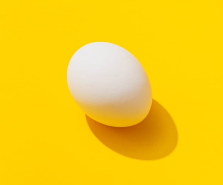 egg with yellow background